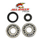 All Balls Racing Crank Bearing and Seal Kit (Part #24-1027)