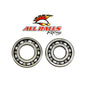 All Balls Racing Crankshaft Bearing and Seal Kit - Part #24-1036
