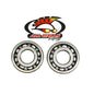 All Balls Racing Crankshaft Bearing Kit - Part Number 24-1042