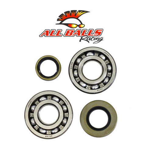 All Balls Racing Crank Bearing and Seal Kit - Part #24-1046