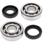 All Balls Racing Crank Bearing and Seal Kit (Part #24-1063)