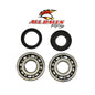 All Balls Racing Crank Bearing and Seal Kit (Part #24-1066)