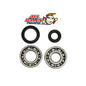 All Balls Racing Crank Bearing and Seal Kit - Part #24-1069