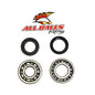 All Balls Racing Crank Bearing and Seal Kit (Part Number 24-1073)