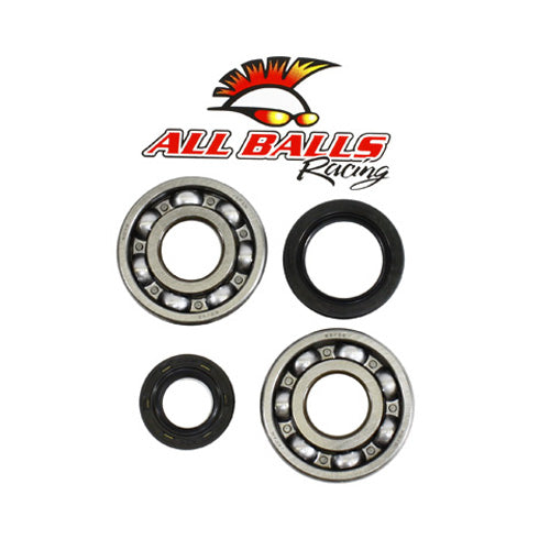 All Balls Racing Crank Bearing and Seal Kit (Part Number 24-1075)