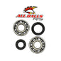 All Balls Racing Crank Bearing and Seal Kit (Part Number 24-1075)