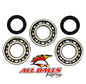 All Balls Racing Crankshaft Bearing and Seal Kit - Part #24-1077