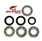 All Balls Racing Crankshaft Bearing and Seal Kit (Part #24-1088)