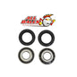 All Balls Racing Rear Wheel Bearing Kit (Part #25-1001)