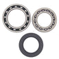 All Balls Racing Rear Wheel Bearing Kit for Both Wheels - Part Number 25-1010