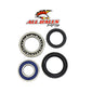All Balls Racing Rear Wheel Bearing Kit for Both Wheels - Part No. 25-1018