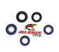 All Balls Racing Rear Wheel Bearing Kit (Part #25-1066)