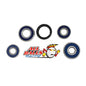 All Balls Racing Rear Wheel Bearing Kit 25-1086