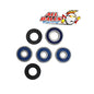 All Balls Racing Rear Wheel Bearing Kit (Part #25-1094)