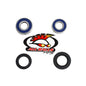 All Balls Racing Rear Wheel Bearing Kit (Part #25-1113)