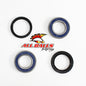 All Balls Racing Rear Wheel Bearing Kit for Both Wheels - Part #25-1126