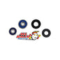 All Balls Racing Rear Wheel Bearing Kit (Part #25-1171)