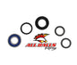 All Balls Racing Rear Wheel Bearing Kit (Part No. 25-1192)
