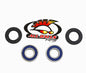 All Balls Racing Rear Wheel Bearing Kit (Part #25-1223)