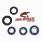 All Balls Racing Rear Wheel Bearing Kit (Part #25-1230)