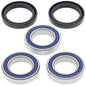 All Balls Racing Rear Wheel Bearing Kit (Part #25-1250)