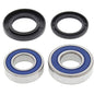 All Balls Racing Rear Wheel Bearing Kit (Part #25-1252)