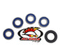 All Balls Racing Rear Wheel Bearing Kit (Part #25-1267)
