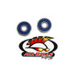 All Balls Racing Front Wheel Bearing Kit (Part #25-1289) for Enhanced Wheel Performance