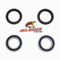All Balls Racing Rear Wheel Bearing Kit for Both Wheels - Part Number 25-1331