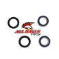 All Balls Racing Rear Wheel Bearing Kit for Both Wheels - Part Number 25-1364