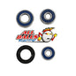 ALL BALLS RACING Rear Wheel Bearing Kit (Part Number 25-1400)