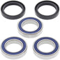 All Balls Racing Rear Wheel Bearing Kit (Part #25-1406)