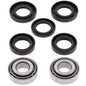 All Balls Racing Wheel Bearing and Seal Kit (Part #25-1523)