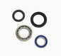 All Balls Racing Wheel Bearing Kit (Part #25-1567)