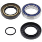 All Balls Racing Wheel Bearing Kit - Part Number 25-1580