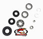 All Balls Racing Differential Bearing Kit (Part #25-2003)