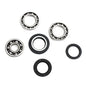 All Balls Racing Differential Bearing Kit Part #25-2008 for Enhanced Vehicle Performance