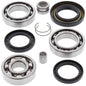 All Balls Racing Differential Bearing Kit - Part Number 25-2011