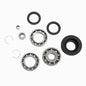 All Balls Racing Differential Bearing Kit (Part Number 25-2013)