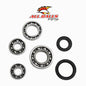 All Balls Racing Differential Bearing Kit - Part Number 25-2017