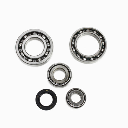 All Balls Racing Differential Bearing Kit - Part Number 25-2019