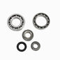 All Balls Racing Differential Bearing Kit - Part Number 25-2019