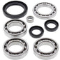 All Balls Racing Differential Bearing Kit (Part #25-2028)
