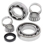 All Balls Racing Differential Bearing Kit - Part #25-2038