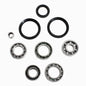 All Balls Racing Rear Differential Bearing Kit - Part No. 25-2050