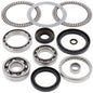 All Balls Racing Differential Bearing Kit (Part #25-2066)