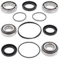 All Balls Racing Differential Bearing & Seal Kit (Part Number 25-2093)