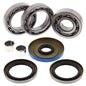 All Balls Racing Wheel Bearing Kit Part #25-2096 for Enhanced Vehicle Performance