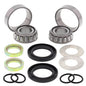 All Balls Racing Swing Arm Bearing Kit Part Number 28-1059 for Motorcycle Suspension